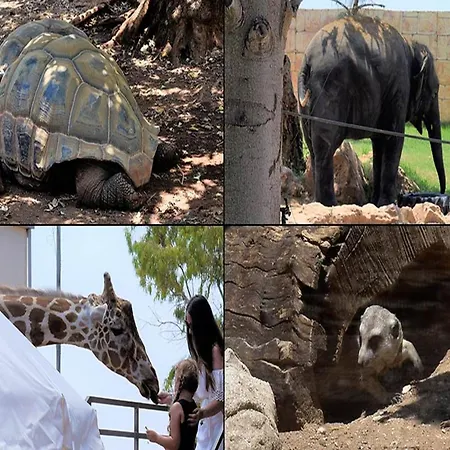 Sunny Breeze In A Prime Spot Near Everything Golful Coralilor